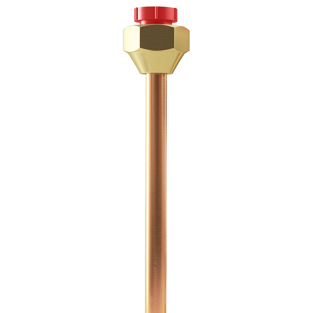WF-38